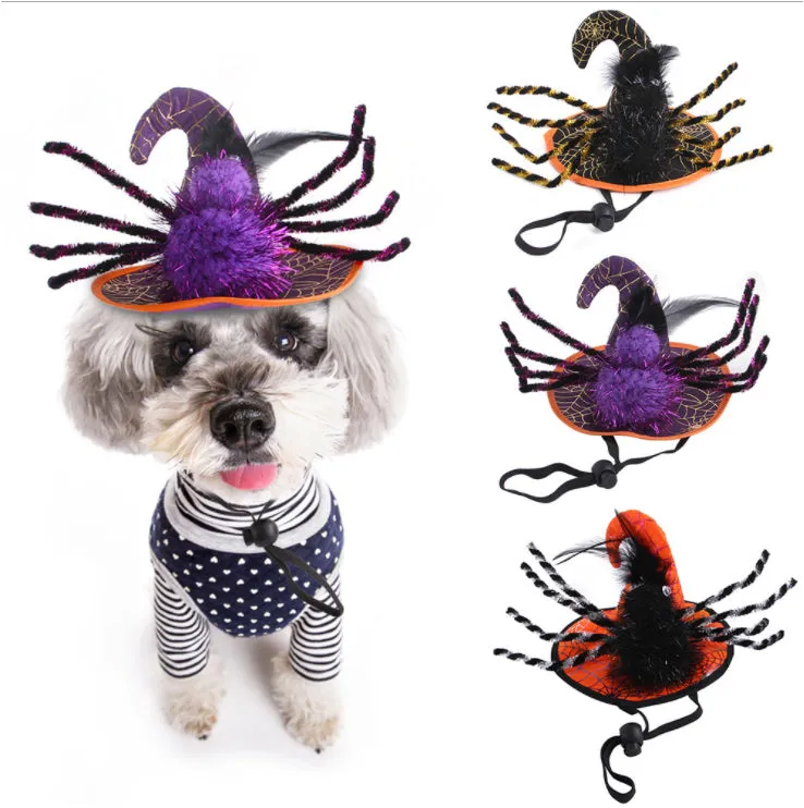 Halloween Witches Spider Hats