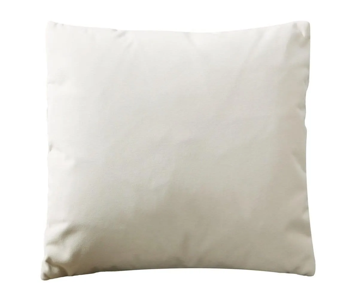 Joei Velvet Pillow