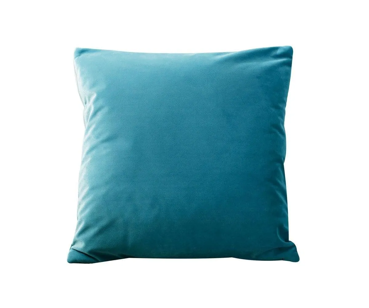 Joei Velvet Pillow