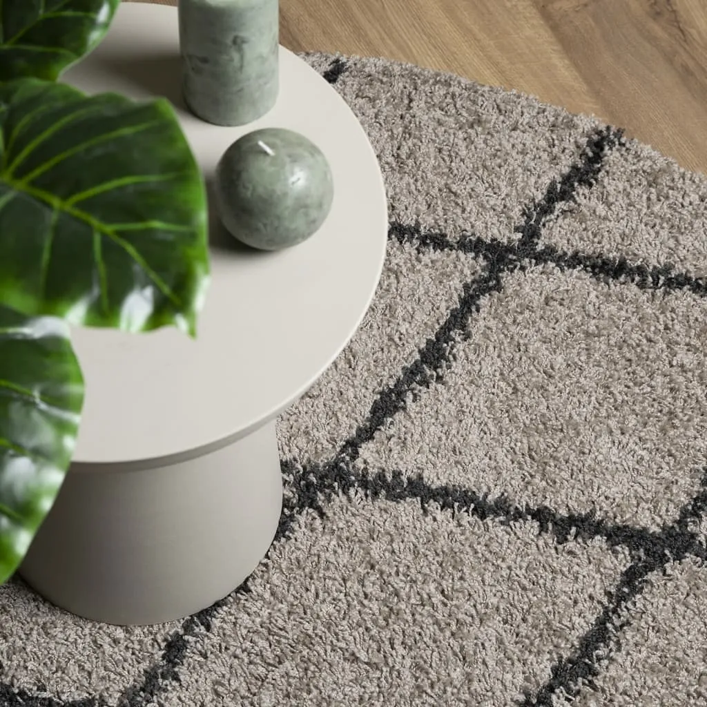 vidaXL Shaggy Rug PAMPLONA - Premium High Pile Rug, Beige & Anthracite, Ø 280 cm - Luxurious Comfort for Your Home