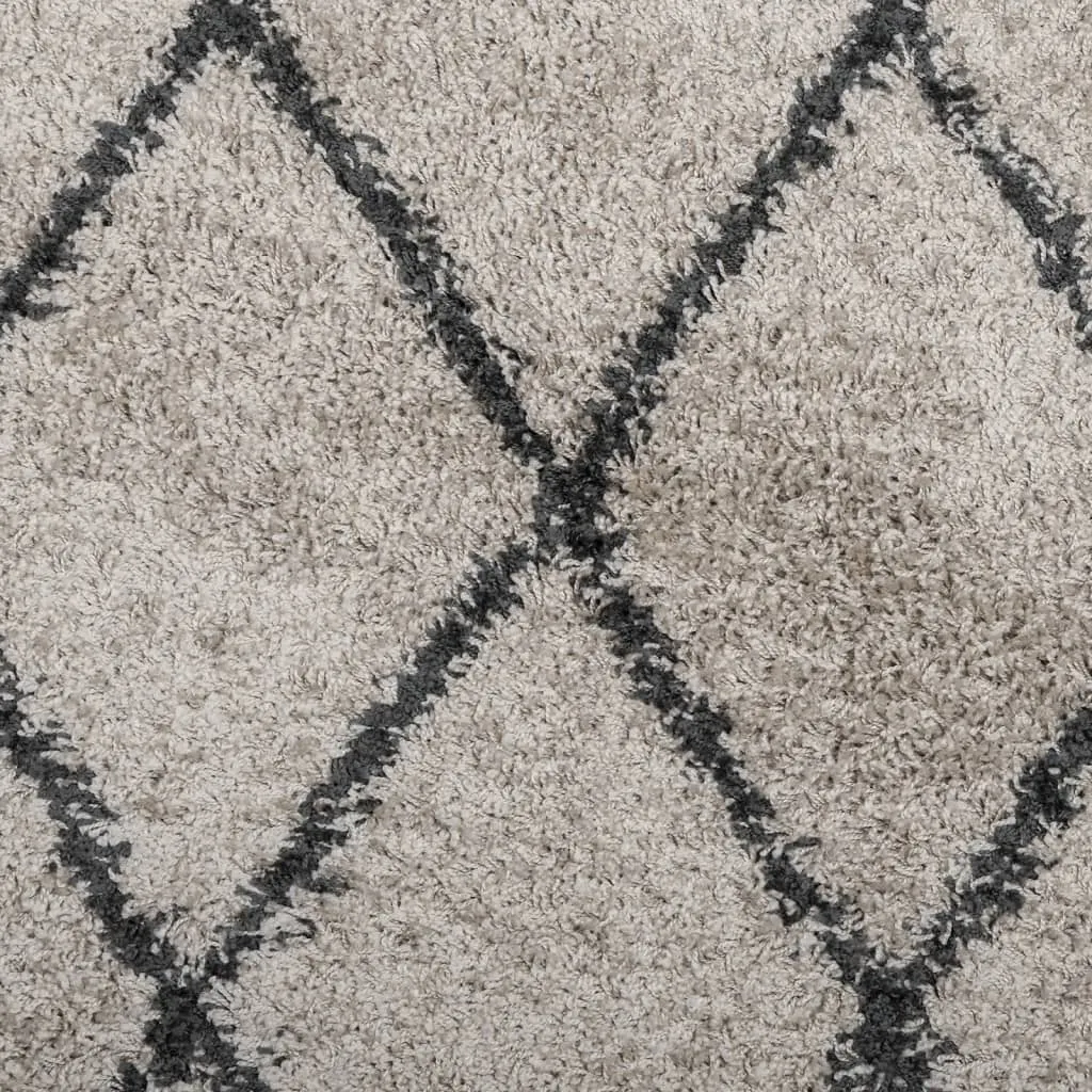 vidaXL Shaggy Rug PAMPLONA - Premium High Pile Rug, Beige & Anthracite, Ø 280 cm - Luxurious Comfort for Your Home